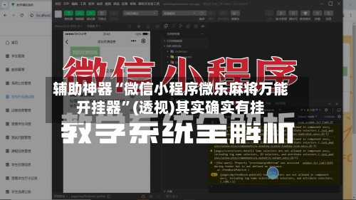辅助神器“微信小程序微乐麻将万能开挂器”(透视)其实确实有挂