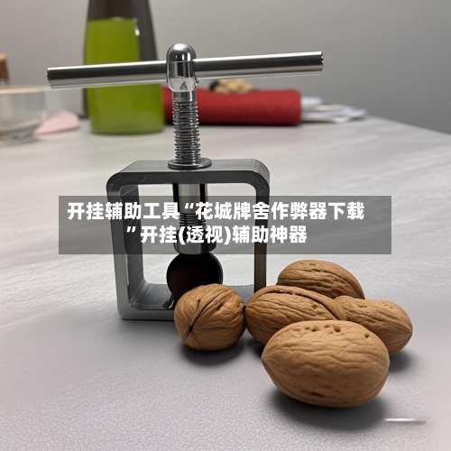 开挂辅助工具“花城牌舍作弊器下载”开挂(透视)辅助神器