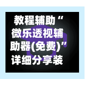 教程辅助“微乐透视辅助器(免费)”详细分享装挂步骤教程