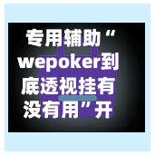 专用辅助“wepoker到底透视挂有没有用”开挂辅助脚本+详细开挂安装教程