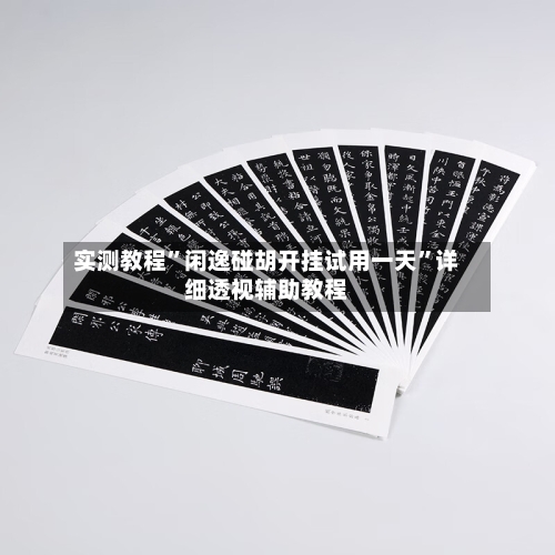 实测教程”闲逸碰胡开挂试用一天”详细透视辅助教程
