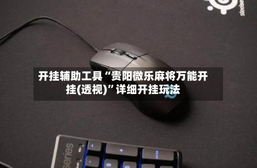 开挂辅助工具“贵阳微乐麻将万能开挂(透视)”详细开挂玩法