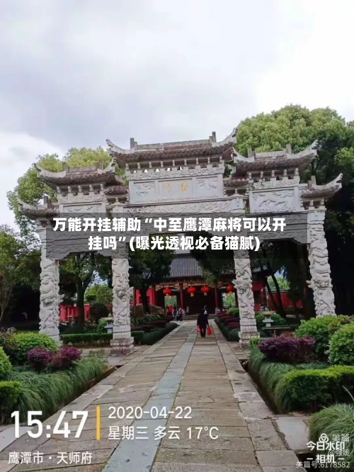 万能开挂辅助“中至鹰潭麻将可以开挂吗”(曝光透视必备猫腻)