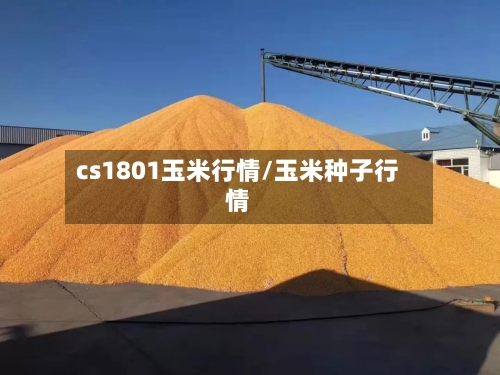 cs1801玉米行情/玉米种子行情