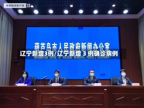 辽宁新增3例/辽宁新增 3 例确诊病例