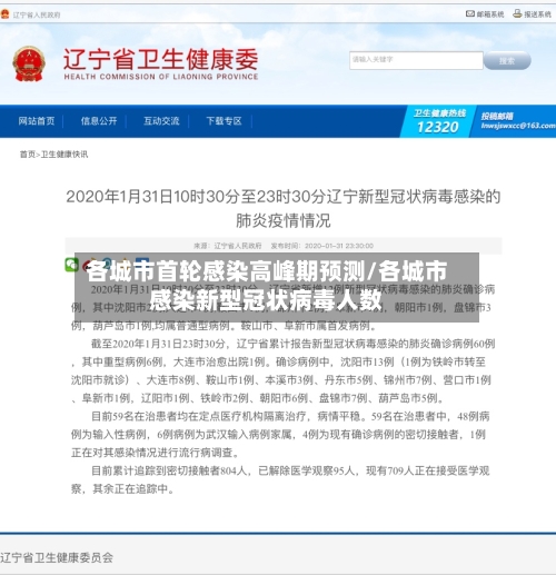 各城市首轮感染高峰期预测/各城市感染新型冠状病毒人数