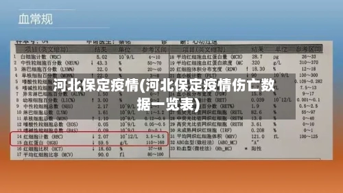 河北保定疫情(河北保定疫情伤亡数据一览表)