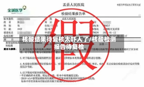 核酸结果待复核太吓人了/核酸检测报告待复检