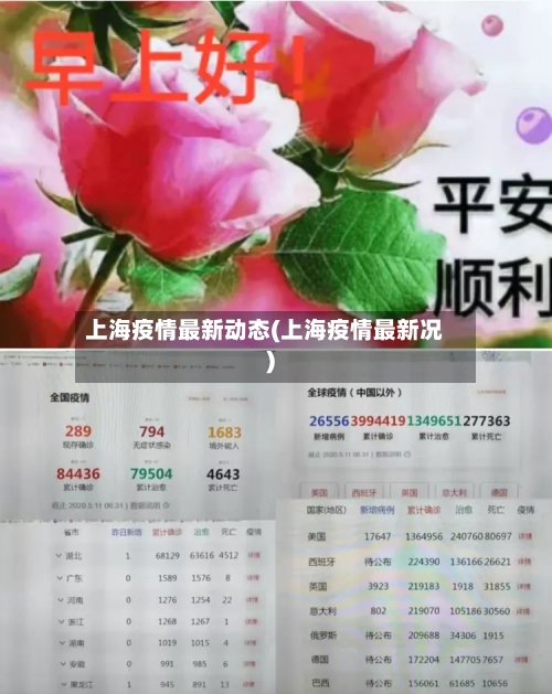 上海疫情最新动态(上海疫情最新况)