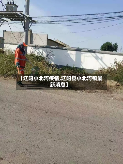【辽阳小北河疫情,辽阳县小北河镇最新消息】