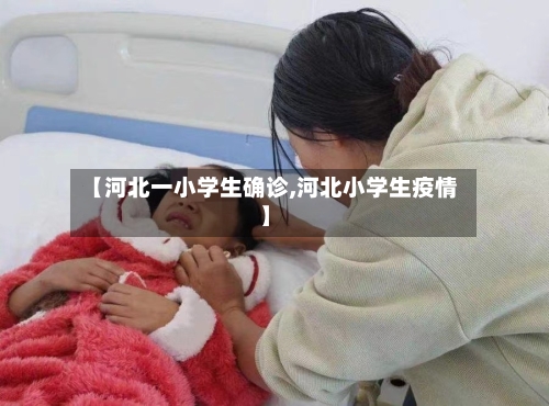 【河北一小学生确诊,河北小学生疫情】