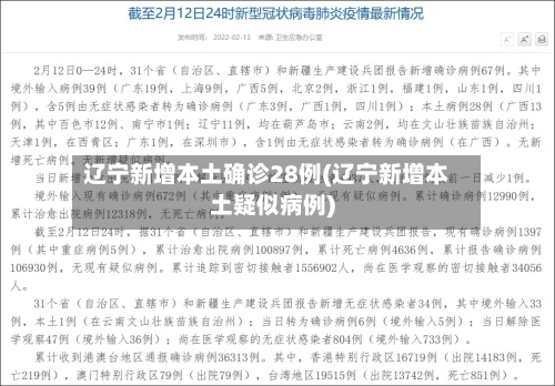 辽宁新增本土确诊28例(辽宁新增本土疑似病例)
