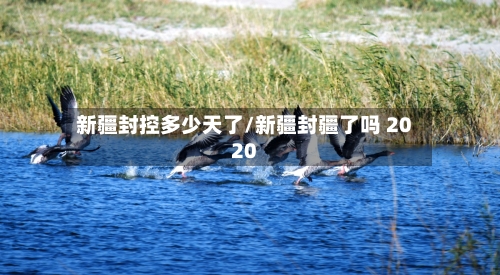 新疆封控多少天了/新疆封疆了吗 2020