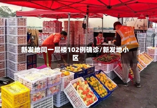 新发地同一层楼102例确诊/新发地小区