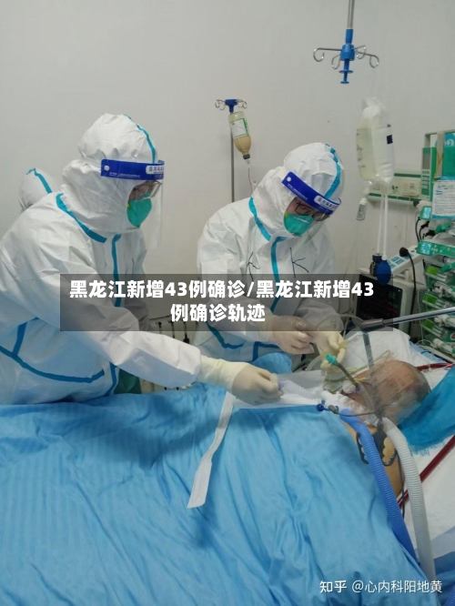 黑龙江新增43例确诊/黑龙江新增43例确诊轨迹