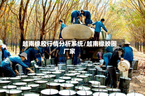 越南橡胶行情分析系统/越南橡胶圈厂家