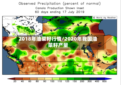2018年油菜籽行情/2020年我国油菜籽产量