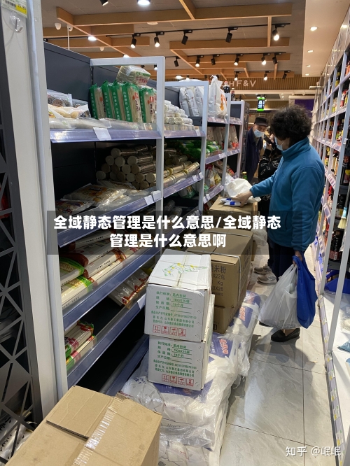 全域静态管理是什么意思/全域静态管理是什么意思啊
