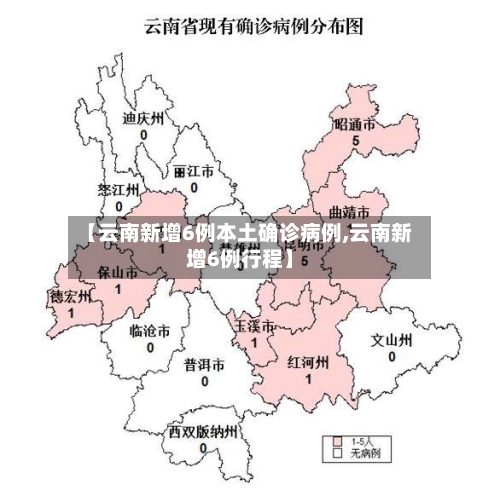 【云南新增6例本土确诊病例,云南新增6例行程】