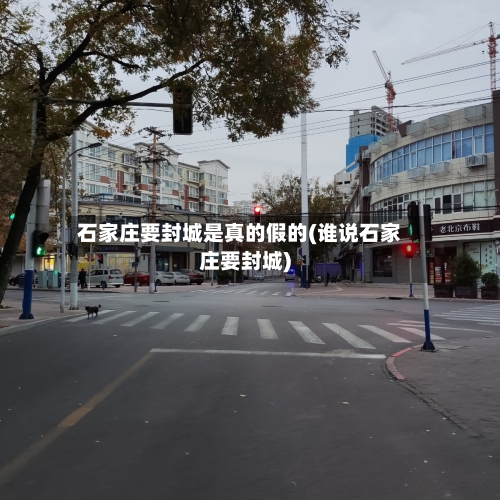 石家庄要封城是真的假的(谁说石家庄要封城)