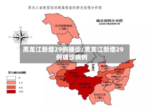 黑龙江新增29例确诊/黑龙江新增29例确诊病例
