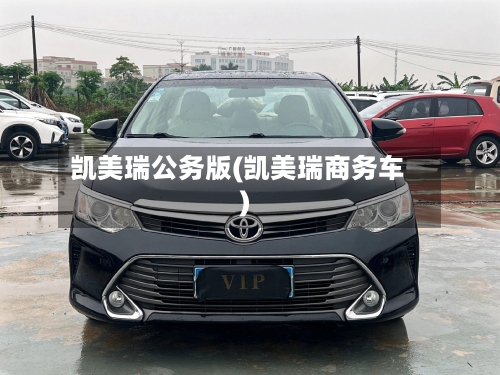 凯美瑞公务版(凯美瑞商务车)