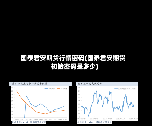 国泰君安期货行情密码(国泰君安期货初始密码是多少)