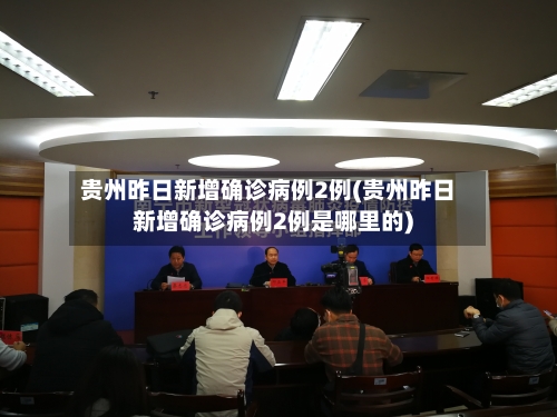 贵州昨日新增确诊病例2例(贵州昨日新增确诊病例2例是哪里的)