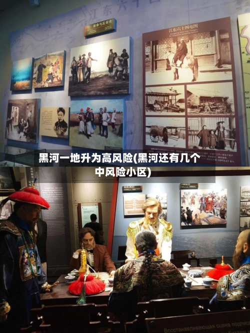 黑河一地升为高风险(黑河还有几个中风险小区)