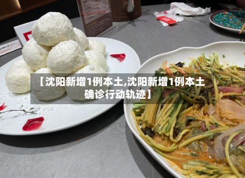 【沈阳新增1例本土,沈阳新增1例本土确诊行动轨迹】