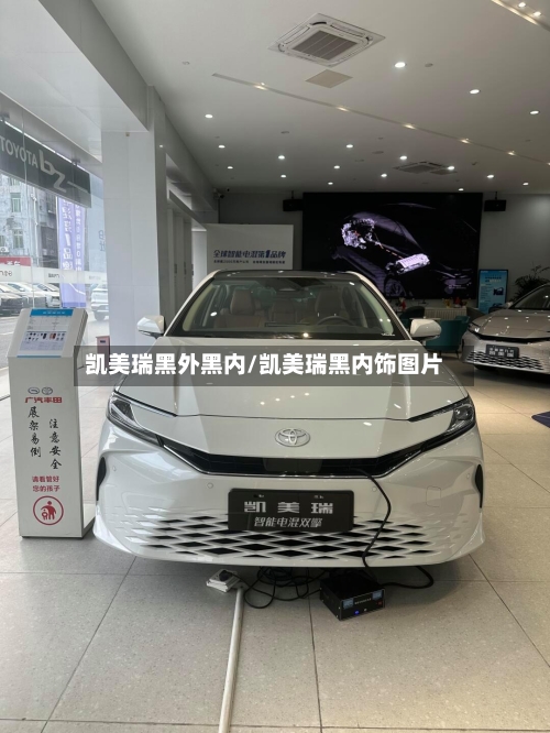 凯美瑞黑外黑内/凯美瑞黑内饰图片