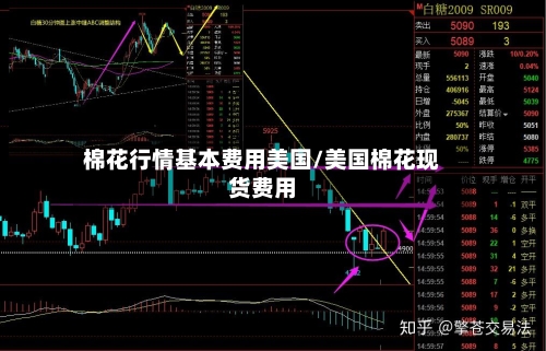 棉花行情基本费用美国/美国棉花现货费用