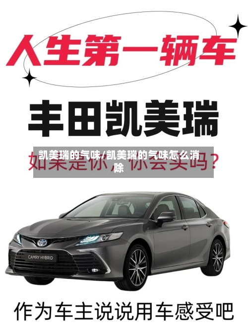 凯美瑞的气味/凯美瑞的气味怎么消除