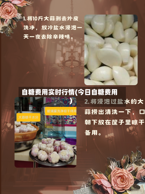 自糖费用实时行情(今日自糖费用)