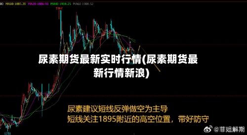 尿素期货最新实时行情(尿素期货最新行情新浪)