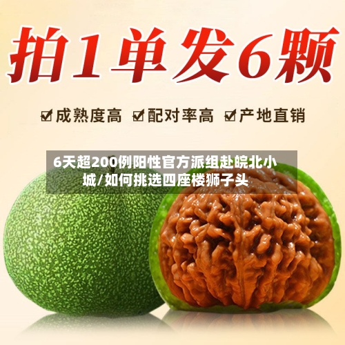 6天超200例阳性官方派组赴皖北小城/如何挑选四座楼狮子头
