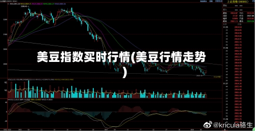 美豆指数买时行情(美豆行情走势)