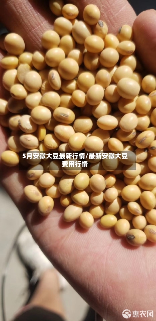 5月安徽大豆最新行情/最新安徽大豆费用行情