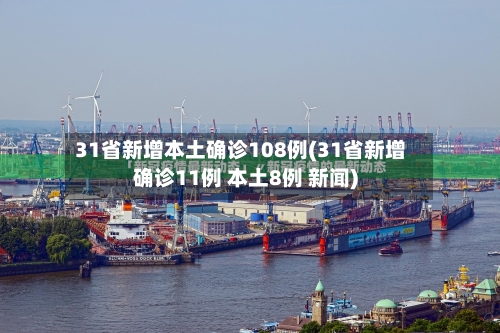 31省新增本土确诊108例(31省新增确诊11例 本土8例 新闻)